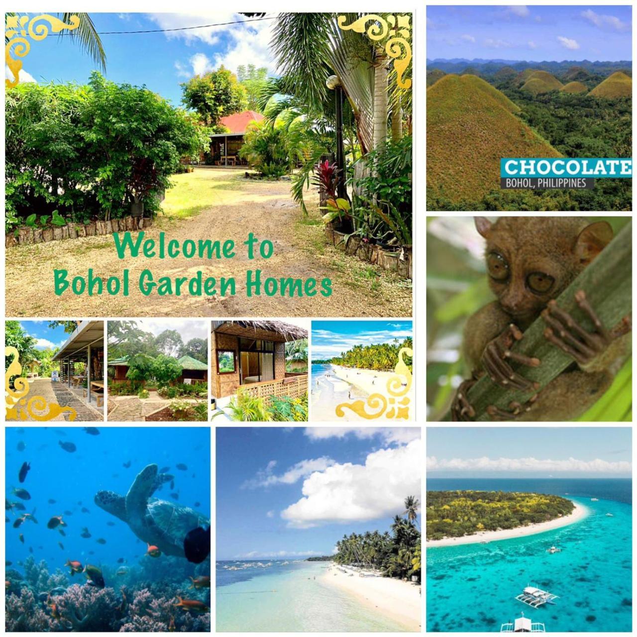 House @Bohol Garden Homes Panglao Exteriör bild