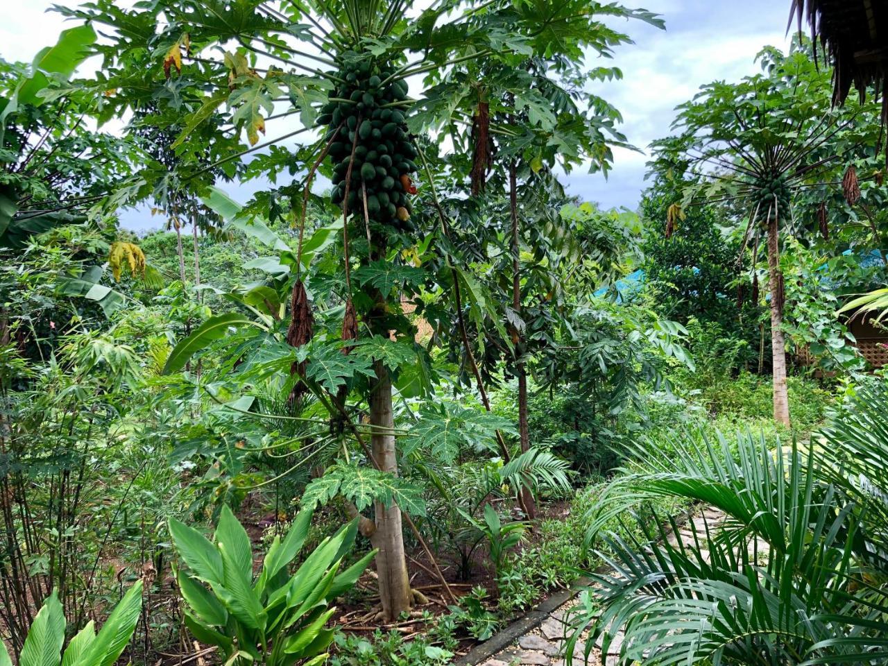 House @Bohol Garden Homes Panglao Exteriör bild